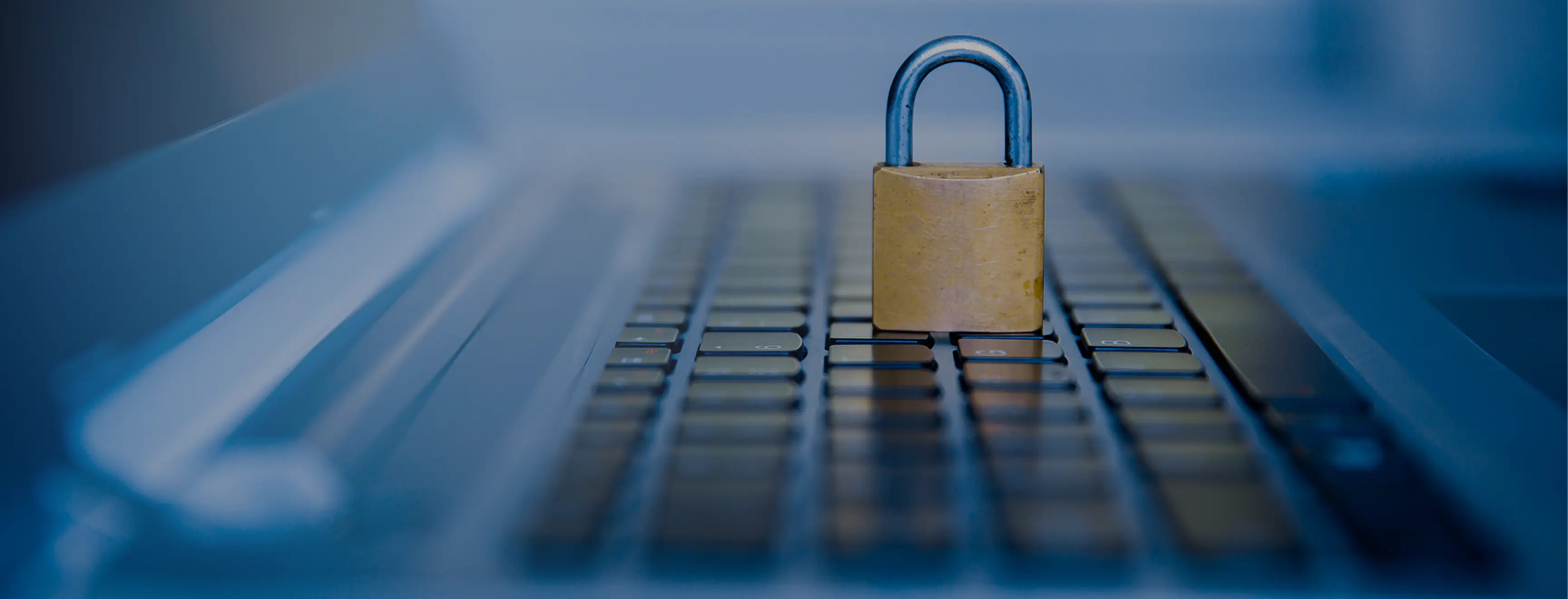 Statement of Privacy